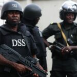 Before Calling for DSS Disbandment, Look at the Results