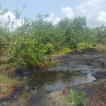 17,500 Litres of Stolen Oil Destroyed as Navy Tightens Grip on Bonny Creeks