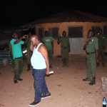 Guardians of the Forest: A Rare Encounter with Nigeria’s Vanishing Giants