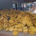 Massive Seizures, Drug Busts, Antiquities Recovery Signal Endgame for Smuggling Cartels
