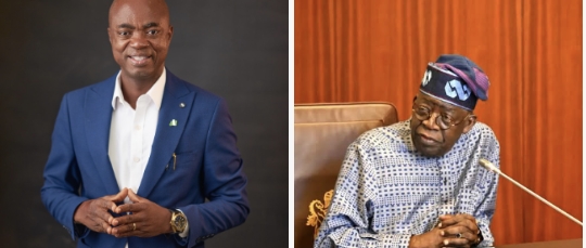 Open Letter to President Tinubu