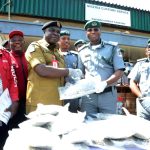 Massive Drug Seizure at Tin Can Port Exposes Sophisticated Smuggling Network